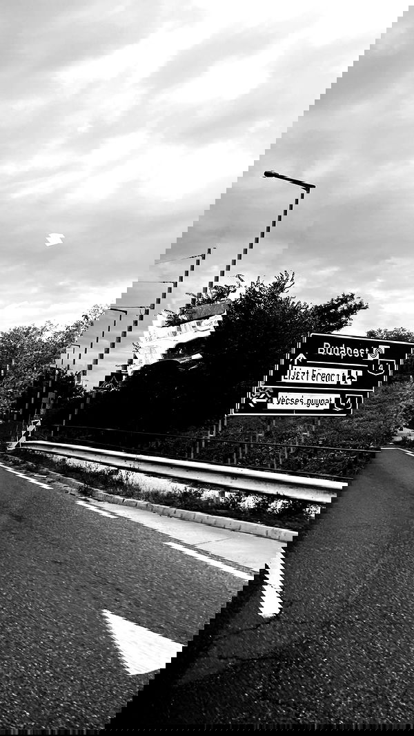 lihi.stoller lihi.stoller archive image