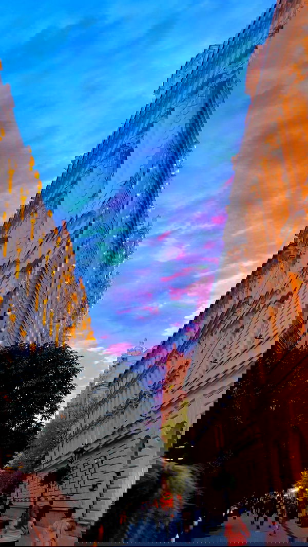 lihi.stoller lihi.stoller archive image