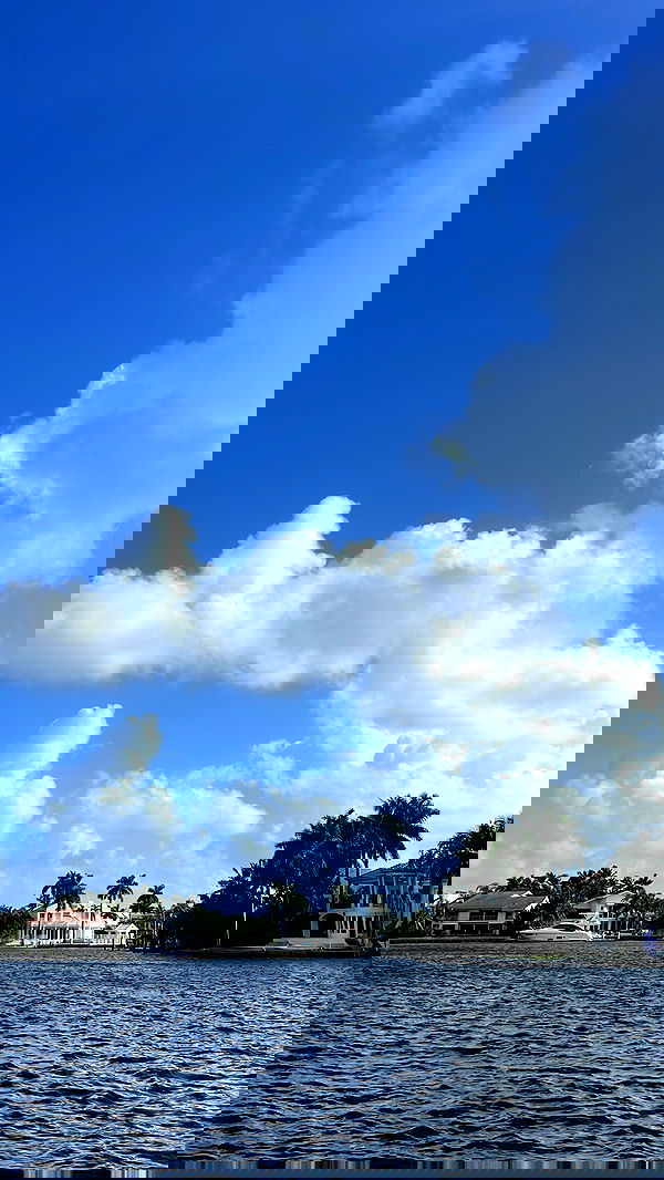 lihi.stoller lihi.stoller archive image