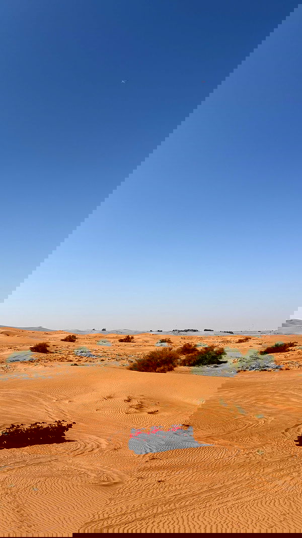 lihi.stoller lihi.stoller archive image