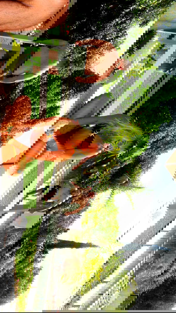 lihi.stoller lihi.stoller archive image