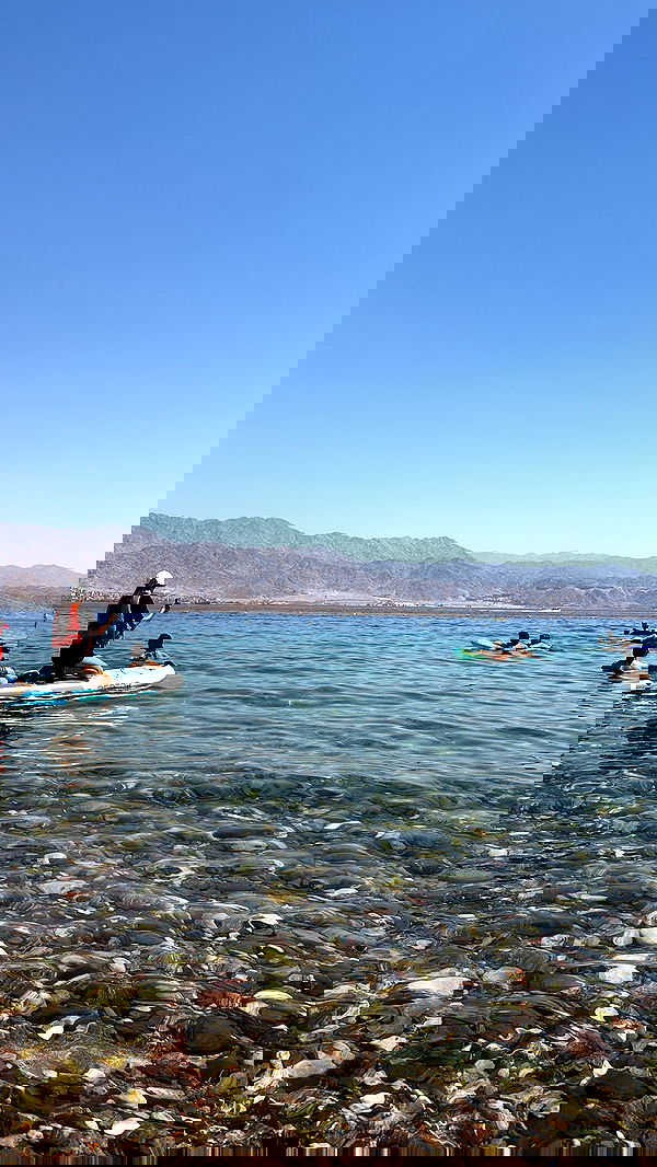 lihi.stoller lihi.stoller archive image