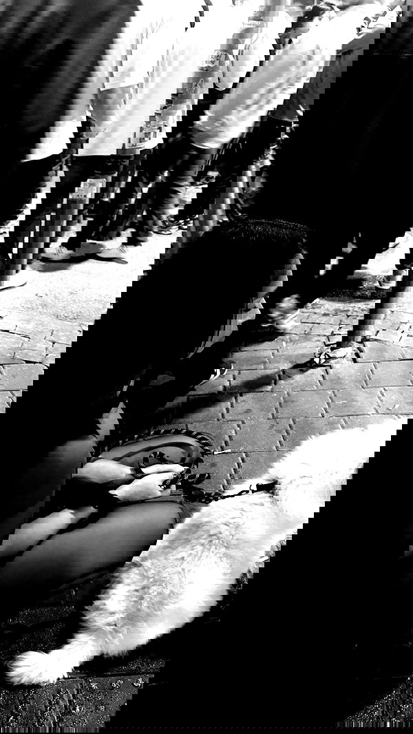 lihi.stoller lihi.stoller archive image