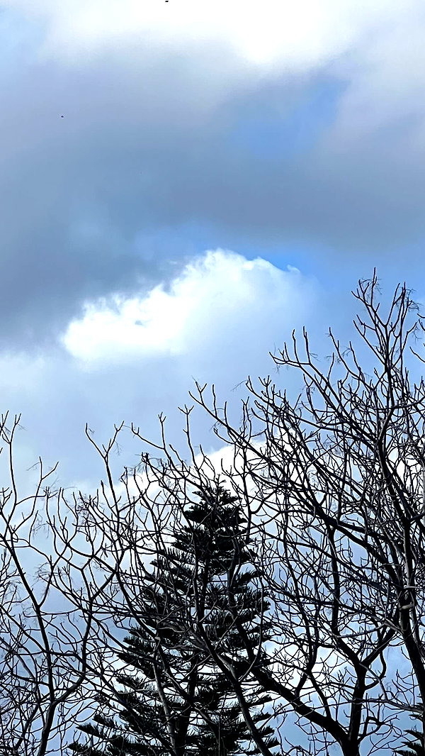 liiuuar instagram image archive image