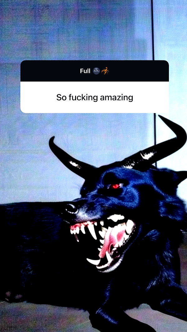 liiuuarr instagram image archive image