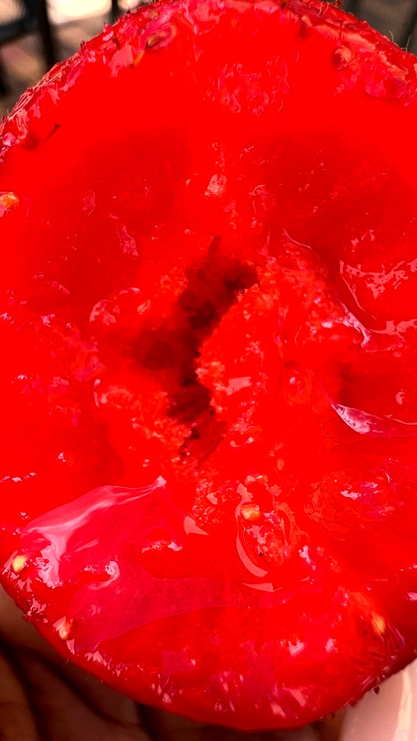 liiuuarr instagram image archive image