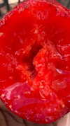 liiuuarr Altpins Profile Picture