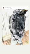 liiuuarr Altpins Profile Picture