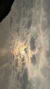liiuuarr Altpins Profile Picture