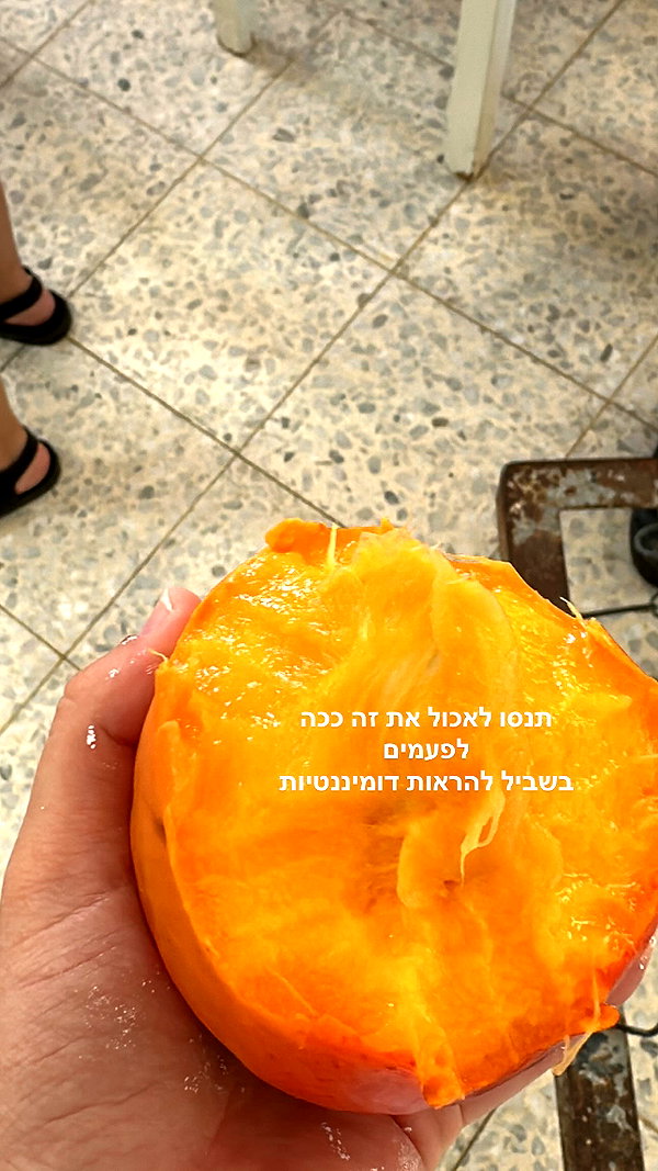 lil_sapir lil_sapir archive image