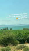 lil_sapir Altpins Profile Picture