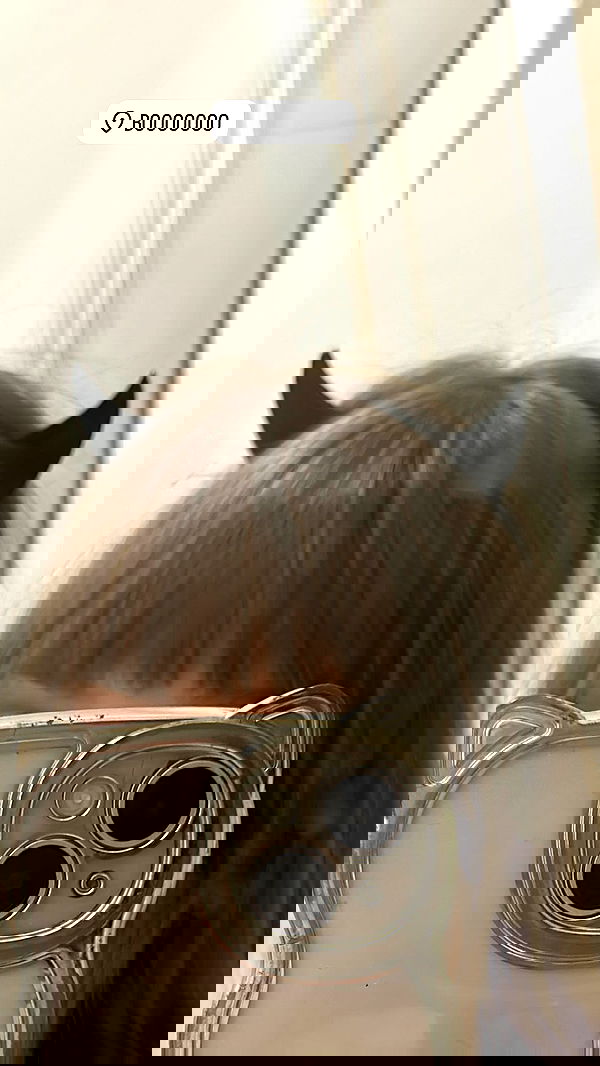 lila.garnik lila.garnik archive image