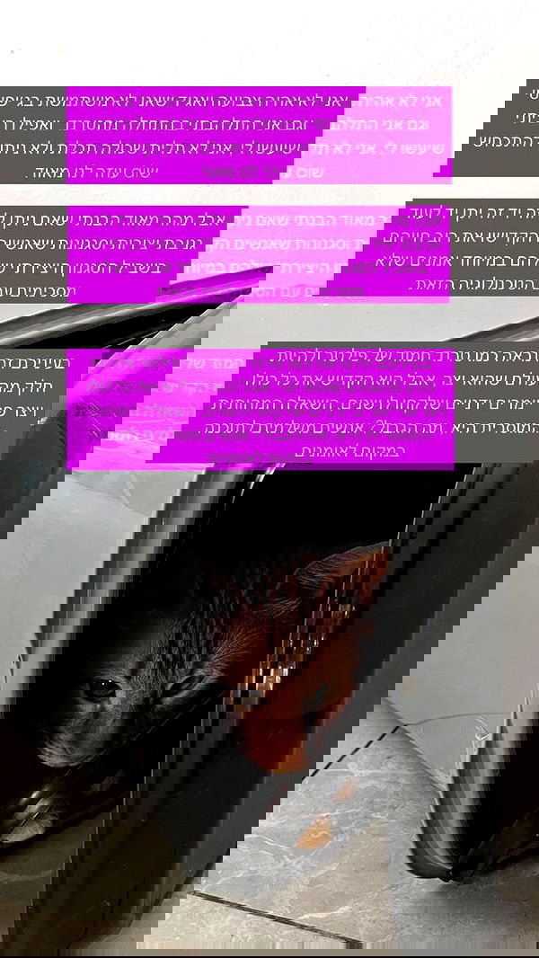 lila.garnik lila.garnik archive image