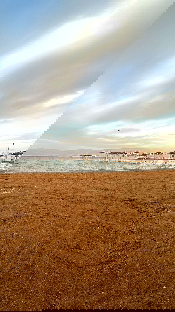 lila.garnik lila.garnik archive image