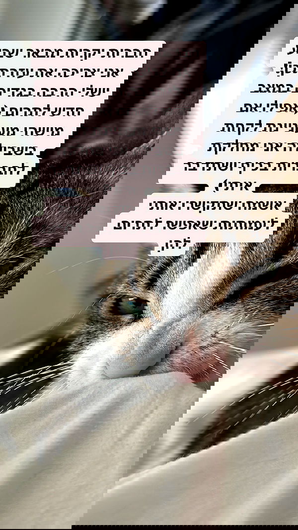 lila.garnik lila.garnik archive image