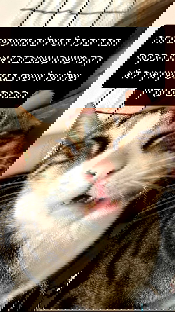 lila.garnik lila.garnik archive image