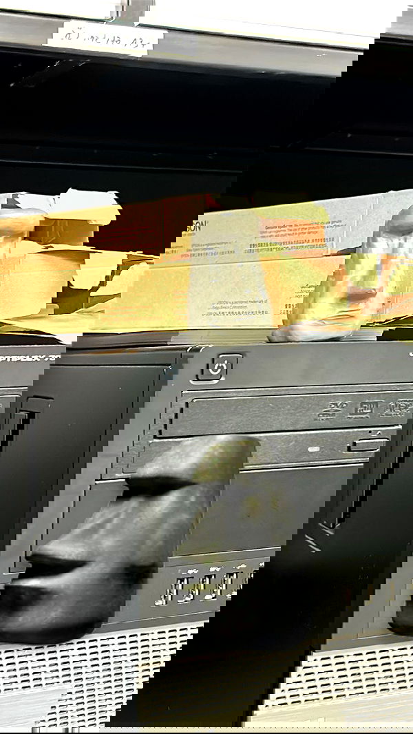 lila.garnik lila.garnik archive image