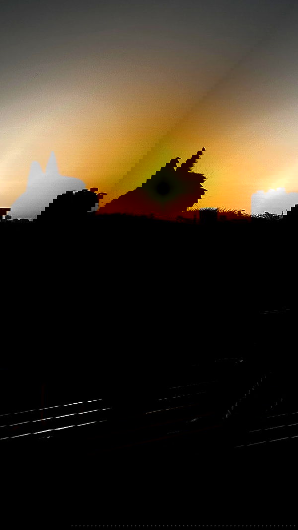 lila.garnik lila.garnik archive image