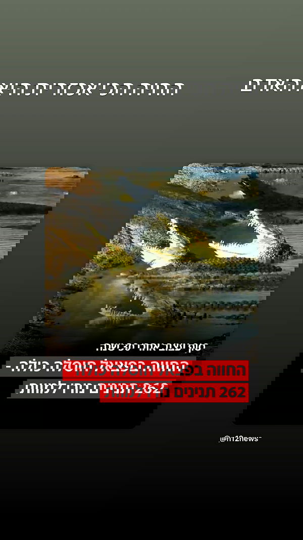 lila.garnik lila.garnik archive image