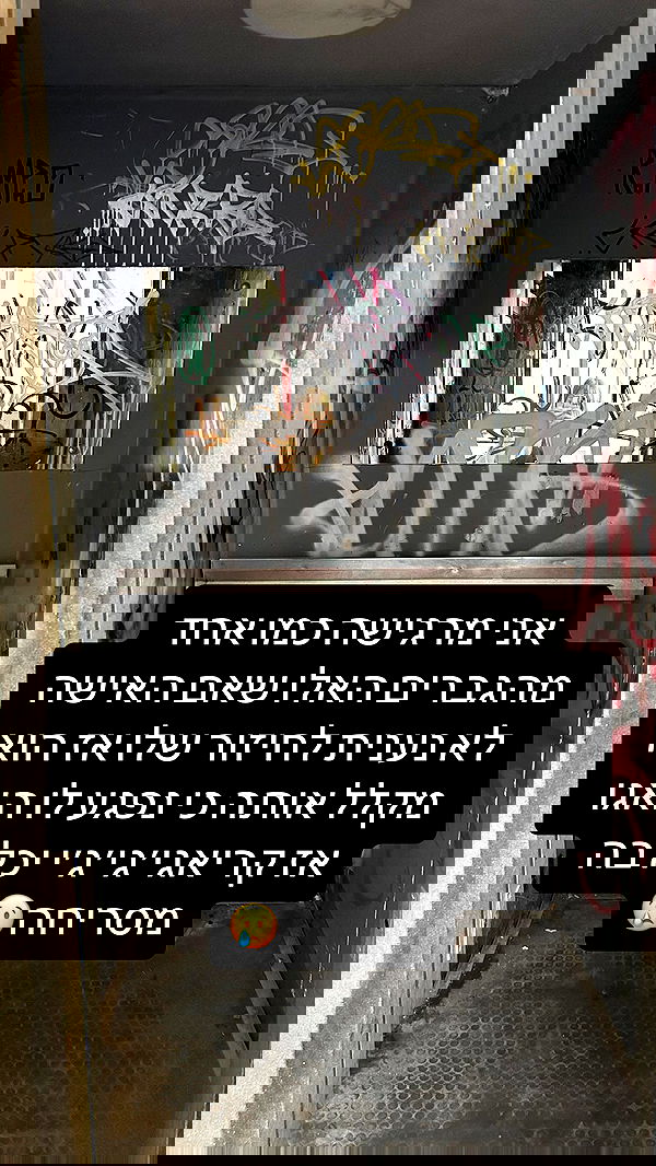 lila.garnik lila.garnik archive image