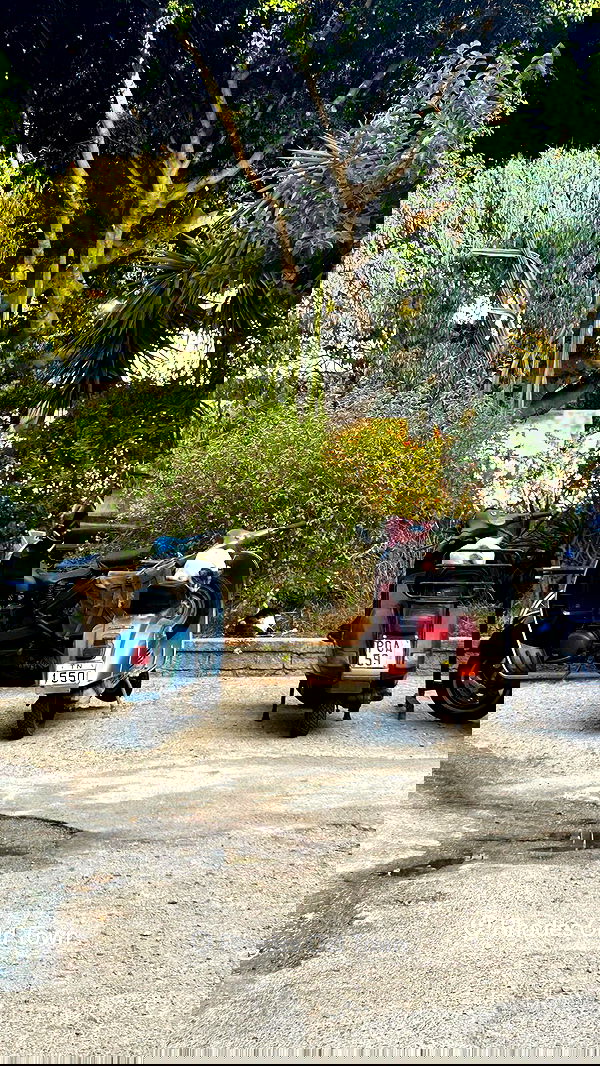 lila.garnik lila.garnik archive image