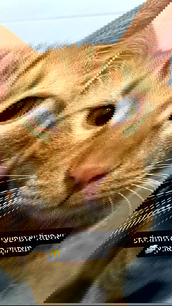 lila.garnik lila.garnik archive image