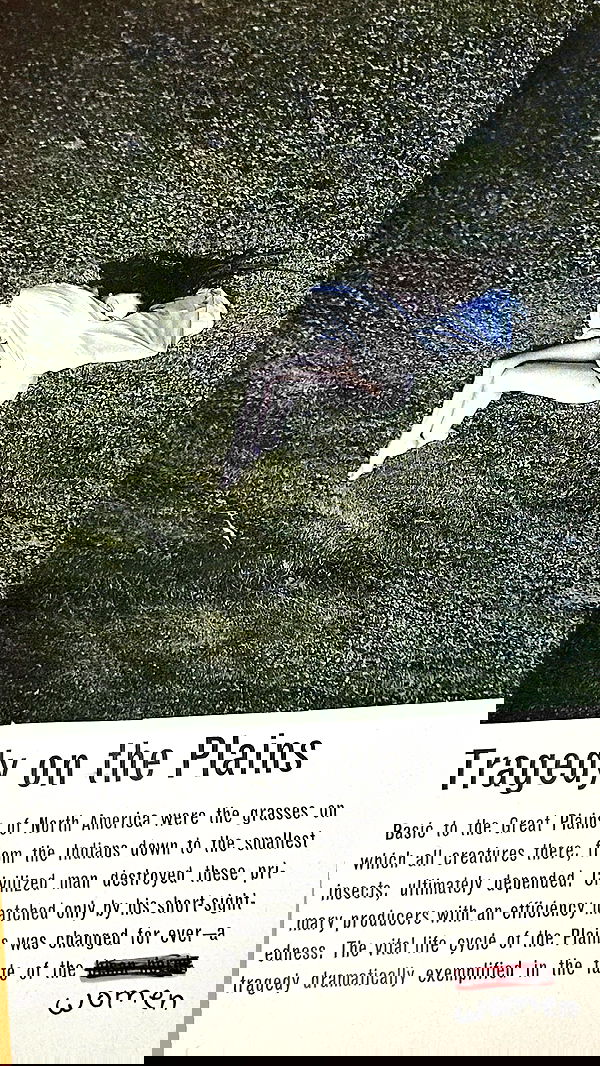 lila.garnik lila.garnik archive image