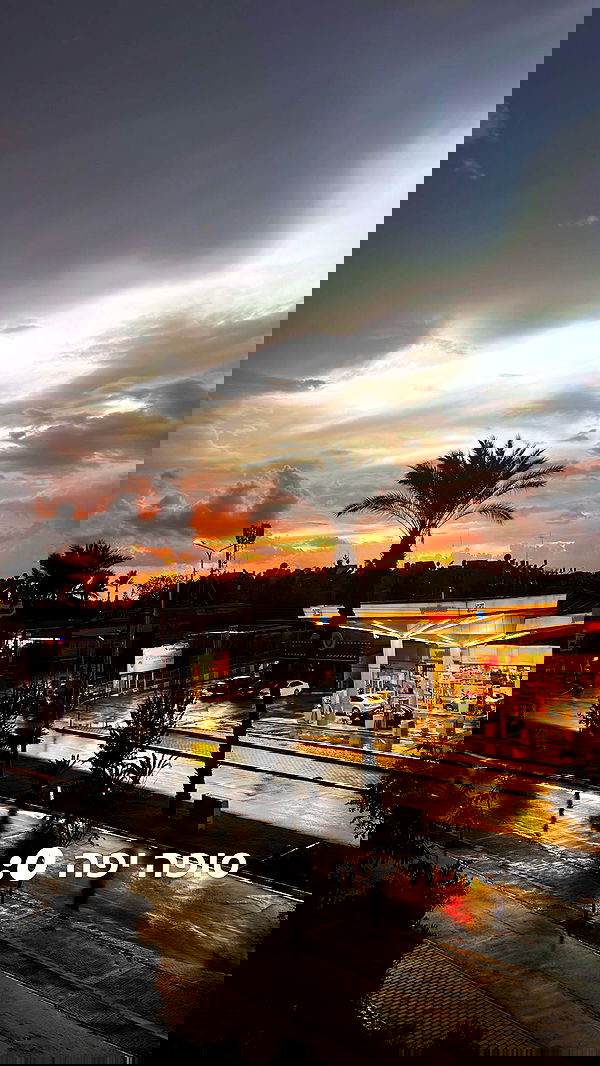 lila.garnik lila.garnik archive image