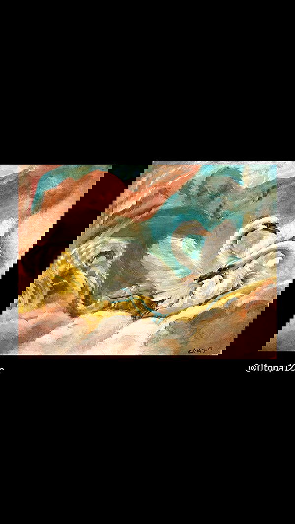 lilarosepalaza lilarosepalaza archive image