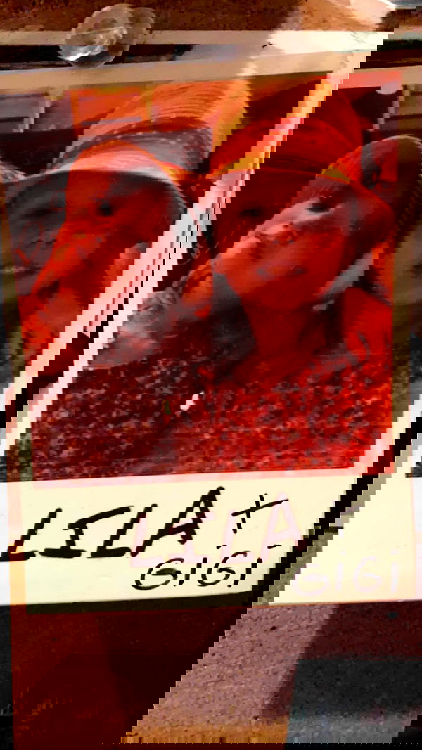 lilarosepalaza lilarosepalaza archive image