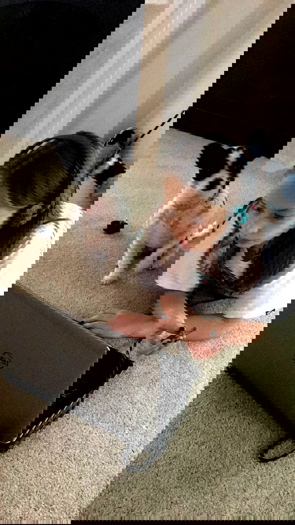 lilarosepalaza lilarosepalaza archive image