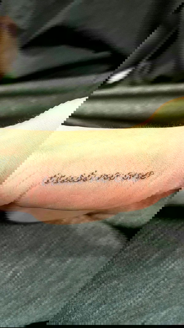 lilarosepalaza lilarosepalaza archive image