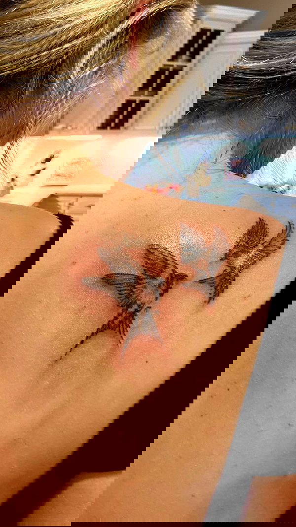 lilarosepalaza lilarosepalaza archive image