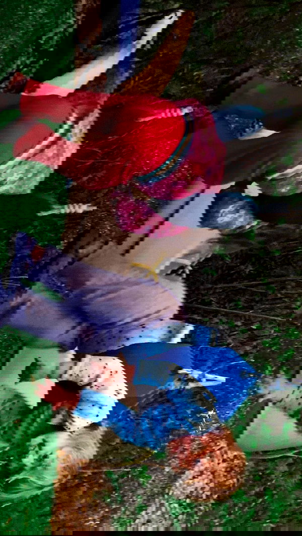 lilarosepalaza lilarosepalaza archive image