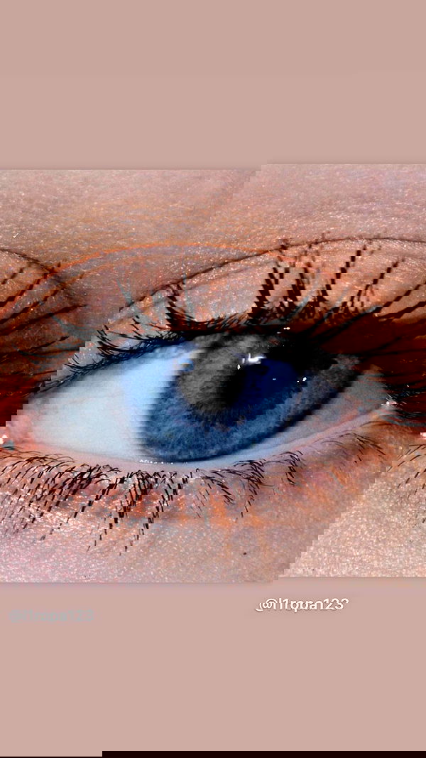 lilarosepalaza lilarosepalaza archive image