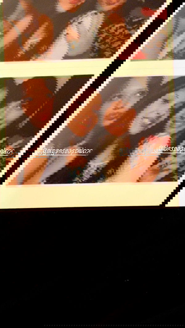 lilarosepalaza lilarosepalaza archive image