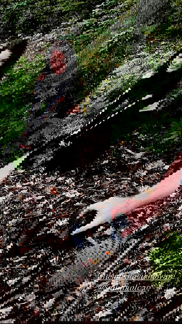 lilarosepalaza lilarosepalaza archive image