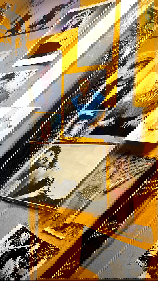 lilarosepalaza lilarosepalaza archive image