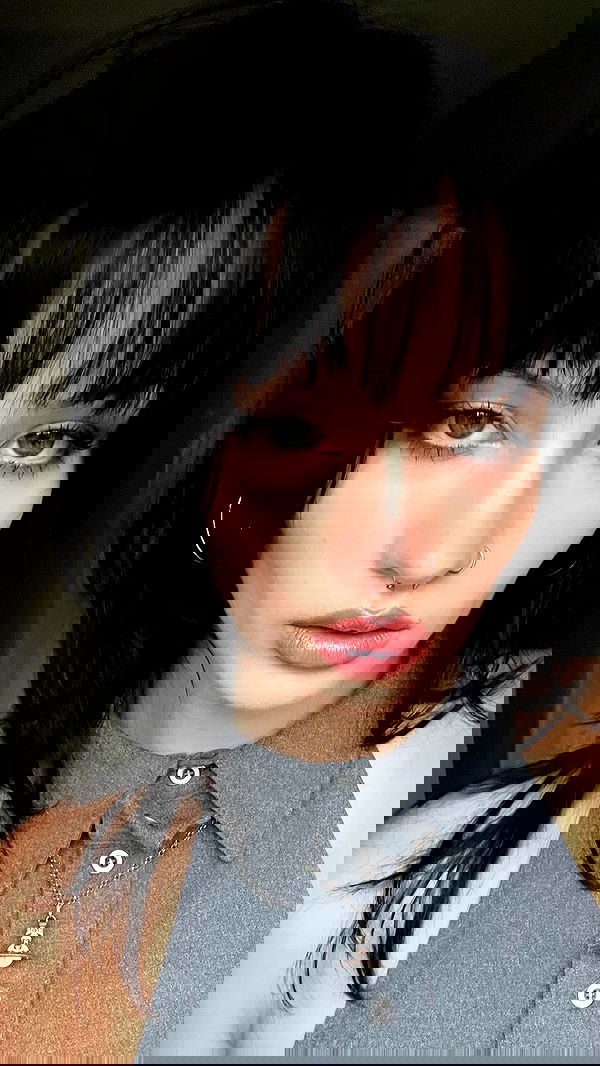 lilarosepalaza lilarosepalaza archive image