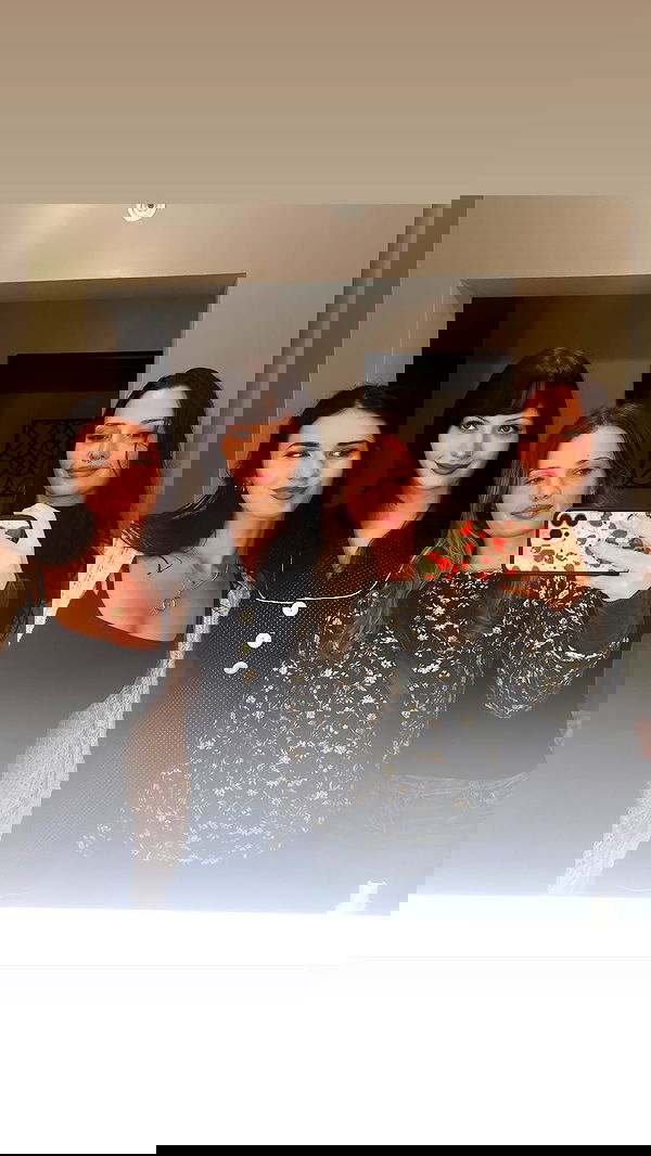 lilarosepalaza lilarosepalaza archive image