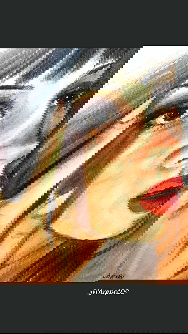 lilarosepalaza lilarosepalaza archive image