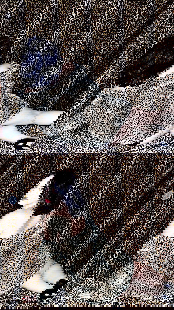 lilarosepalaza lilarosepalaza archive image