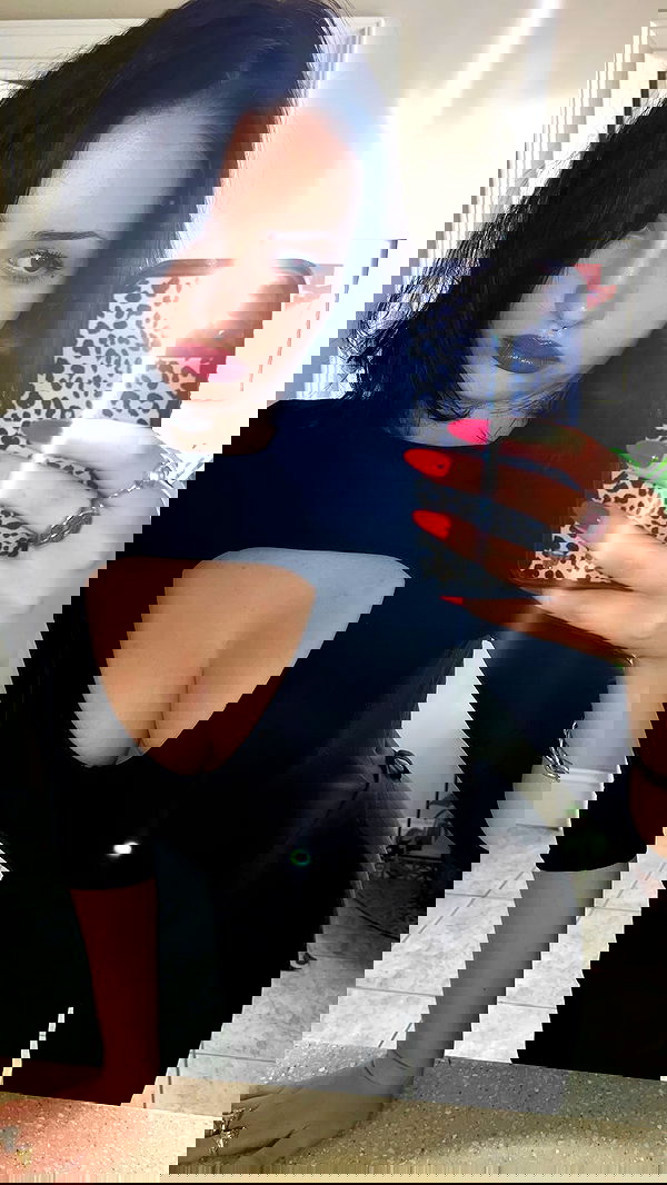 lilarosepalaza lilarosepalaza archive image