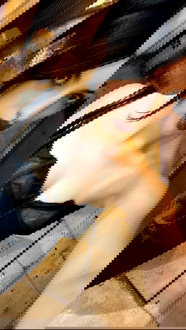 lilarosepalaza lilarosepalaza archive image