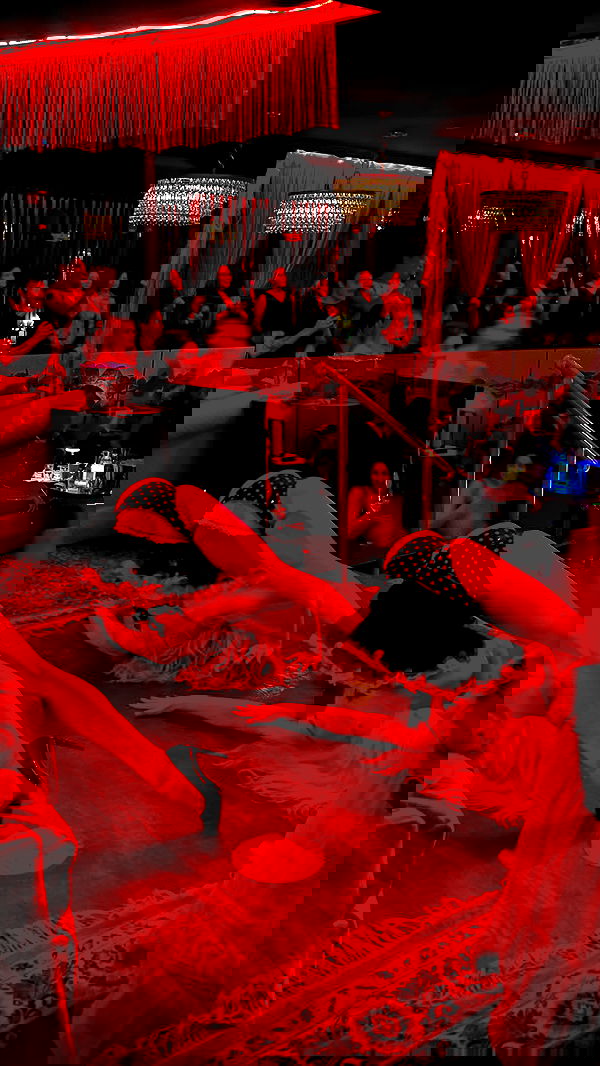 lilarosepalaza lilarosepalaza archive image