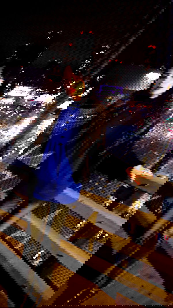 lilarosepalaza lilarosepalaza archive image