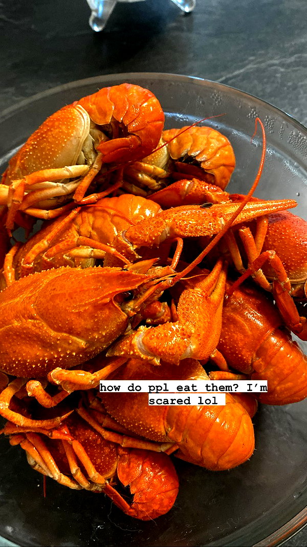 lilicapie lilicapie archive image