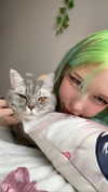 lilicapie Altpins Profile Picture