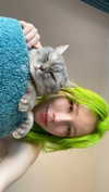 lilicapie Altpins Profile Picture