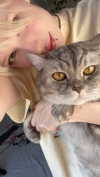lilicapie Altpins Profile Picture
